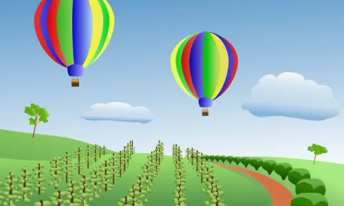 Balloons over a vinyard. It's a default image for Drupal image styles.